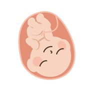 葉酸の胎児への働き